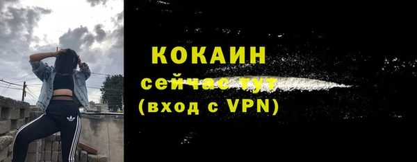 стаф Абаза