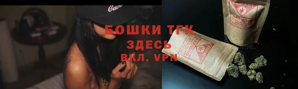 стаф Абаза