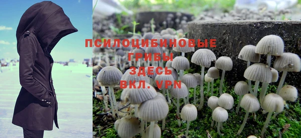 трава Кинешма