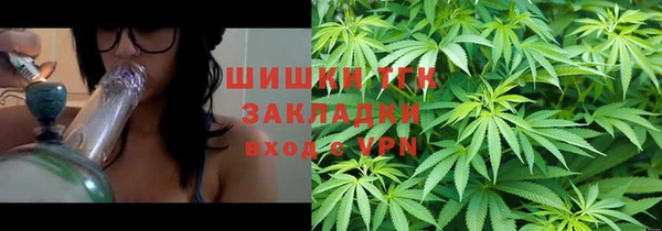 стаф Абаза
