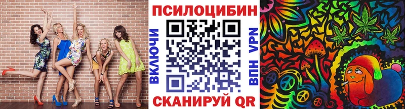 цены   Мостовской  МЕГА как зайти  Псилоцибиновые грибы Psilocybe 